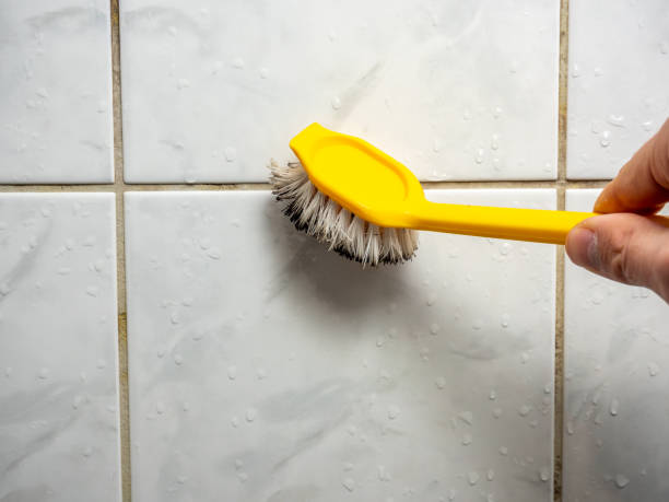 Best Local Mold Removal Service  in Little River Academy, TX
