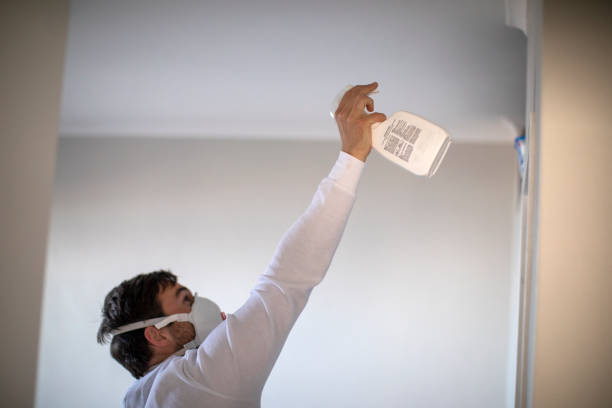 Best Commercial Mold Removal  in Little River Academy, TX